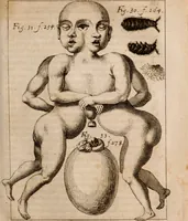 An illustration from Miscellanea curiosa, sive, Ephemeridum medico-physicarum Germanicarum Academiae Naturae curiosorum (1683)