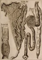 An illustration from Miscellanea curiosa, sive, Ephemeridum medico-physicarum Germanicarum Academiae Naturae curiosorum (1683)