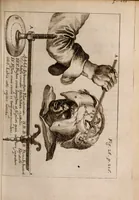 An illustration from Miscellanea curiosa, sive, Ephemeridum medico-physicarum Germanicarum Academiae Naturae curiosorum (1683)