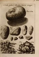 An illustration from Miscellanea curiosa, sive, Ephemeridum medico-physicarum Germanicarum Academiae Naturae curiosorum (1683)