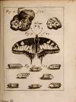 An illustration from Miscellanea curiosa, sive, Ephemeridum medico-physicarum Germanicarum Academiae Naturae curiosorum (1683)