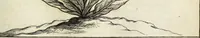 Picture 24 of 70 from Miscellanea Curiosa Medico-Physica Academiae Naturae Curiosorum (1671), leaf 172