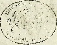 An illustration from Miscellanea Curiosa Medico-Physica Academiae Naturae Curiosorum (1671)