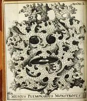 Picture 26 of 70 from Miscellanea Curiosa Medico-Physica Academiae Naturae Curiosorum (1671), leaf 191