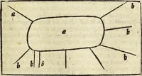 Picture 33 of 70 from Miscellanea Curiosa Medico-Physica Academiae Naturae Curiosorum (1671), leaf 254