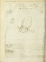 Picture 38 of 70 from Miscellanea Curiosa Medico-Physica Academiae Naturae Curiosorum (1671), leaf 291