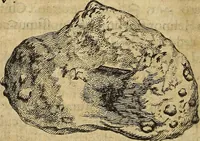 Picture 52 of 70 from Miscellanea Curiosa Medico-Physica Academiae Naturae Curiosorum (1671), leaf 341