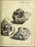 Picture 54 of 70 from Miscellanea Curiosa Medico-Physica Academiae Naturae Curiosorum (1671), leaf 364