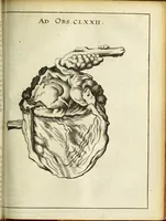 Picture 56 of 70 from Miscellanea Curiosa Medico-Physica Academiae Naturae Curiosorum (1671), leaf 412