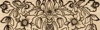 An illustration from Miscellanea curiosa, sive, Ephemeridum medico-physicarum Germanicarum Academiae Naturae curiosorum (1688)