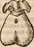 Picture 64 of 103 from Miscellanea curiosa, sive, Ephemeridum medico-physicarum Germanicarum Academiae Naturae curiosorum (1688), leaf 1291