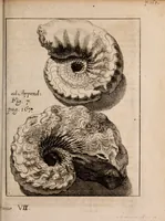 An illustration from Miscellanea curiosa, sive, Ephemeridum medico-physicarum Germanicarum Academiae Naturae curiosorum (1688)