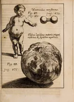 An illustration from Miscellanea curiosa, sive, Ephemeridum medico-physicarum Germanicarum Academiae Naturae curiosorum (1688)