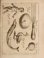 An illustration from Miscellanea curiosa, sive, Ephemeridum medico-physicarum Germanicarum Academiae Naturae curiosorum (1688)