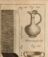 Picture 22 of 103 from Miscellanea curiosa, sive, Ephemeridum medico-physicarum Germanicarum Academiae Naturae curiosorum (1688), leaf 244