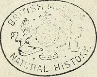 An illustration from Miscellanea Curiosa Medico-Physica Academiae Naturae Curiosorum (1672)