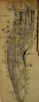 Picture 28 of 45 from Miscellanea Curiosa Medico-Physica Academiae Naturae Curiosorum (1672), leaf 359