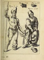 An illustration from Miscellanea Curiosa, sive Ephemiridum Medico-Physicarum Germanicarum Academiae Naturae Curiosorum (1685)