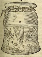 Picture 6 of 14 from Miscellanea Curiosa, sive Ephemiridum Medico-Physicarum Germanicarum Academiae Naturae Curiosorum (1685), leaf 149