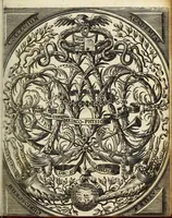 Picture 1 of 14 from Miscellanea Curiosa, sive Ephemiridum Medico-Physicarum Germanicarum Academiae Naturae Curiosorum (1685), leaf 9
