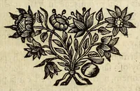 An illustration from Miscellanea Curiosa, sive Ephemiridum Medico-Physicarum Germanicarum Academiae Naturae Curiosorum (1696)