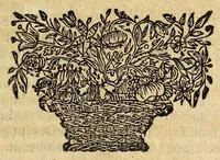 Picture 11 of 22 from Miscellanea Curiosa, sive Ephemiridum Medico-Physicarum Germanicarum Academiae Naturae Curiosorum (1696), leaf 547