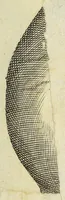Picture 16 of 22 from Miscellanea Curiosa, sive Ephemiridum Medico-Physicarum Germanicarum Academiae Naturae Curiosorum (1696), leaf 879