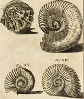 Picture 12 of 41 from Miscellanea curiosa, sive, Ephemeridum medico-physicarum Germanicarum (1700), leaf 102