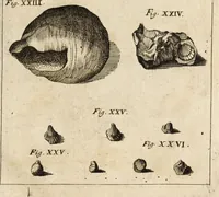 An illustration from Miscellanea curiosa, sive, Ephemeridum medico-physicarum Germanicarum (1700)