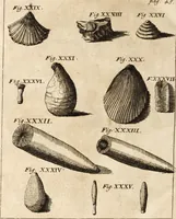 Picture 15 of 41 from Miscellanea curiosa, sive, Ephemeridum medico-physicarum Germanicarum (1700), leaf 109