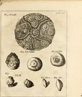 An illustration from Miscellanea curiosa, sive, Ephemeridum medico-physicarum Germanicarum (1700)