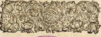 An illustration from Miscellanea curiosa, sive, Ephemeridum medico-physicarum Germanicarum (1700)