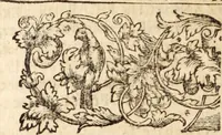 Picture 4 of 41 from Miscellanea curiosa, sive, Ephemeridum medico-physicarum Germanicarum (1700), leaf 27