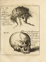 An illustration from Miscellanea curiosa, sive, Ephemeridum medico-physicarum Germanicarum (1700)