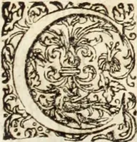 Picture 27 of 41 from Miscellanea curiosa, sive, Ephemeridum medico-physicarum Germanicarum (1700), leaf 782