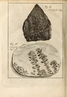 Picture 30 of 41 from Miscellanea curiosa, sive, Ephemeridum medico-physicarum Germanicarum (1700), leaf 847