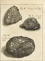 Picture 33 of 41 from Miscellanea curiosa, sive, Ephemeridum medico-physicarum Germanicarum (1700), leaf 854