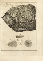 Picture 34 of 41 from Miscellanea curiosa, sive, Ephemeridum medico-physicarum Germanicarum (1700), leaf 858