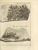 Picture 35 of 41 from Miscellanea curiosa, sive, Ephemeridum medico-physicarum Germanicarum (1700), leaf 864