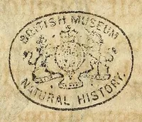 Picture 4 of 18 from Miscellanea Curiosa, sive Ephemiridum Medico-Physicarum Germanicarum Academiae Naturae Curiosorum (1686), leaf 118