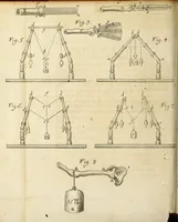Picture 16 of 18 from Miscellanea Curiosa, sive Ephemiridum Medico-Physicarum Germanicarum Academiae Naturae Curiosorum (1686), leaf 574