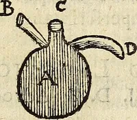 Picture 23 of 62 from Miscellanea Curiosa Medico-Physica Academiae Naturae Curiosorum (1676), leaf 212