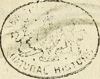 An illustration from Miscellanea Curiosa Medico-Physica Academiae Naturae Curiosorum (1676)