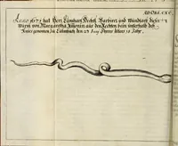 Picture 39 of 62 from Miscellanea Curiosa Medico-Physica Academiae Naturae Curiosorum (1676), leaf 299