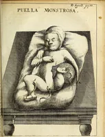 Picture 47 of 62 from Miscellanea Curiosa Medico-Physica Academiae Naturae Curiosorum (1676), leaf 480
