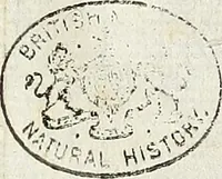 Picture 54 of 62 from Miscellanea Curiosa Medico-Physica Academiae Naturae Curiosorum (1676), leaf 612