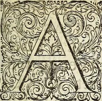 Picture 1 of 62 from Miscellanea Curiosa Medico-Physica Academiae Naturae Curiosorum (1676), leaf 8