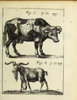 Picture 12 of 20 from Miscellanea Curiosa, sive Ephemiridum Medico-Physicarum Germanicarum Academiae Naturae Curiosorum (1687), leaf 607