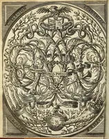 An illustration from Miscellanea Curiosa, sive Ephemiridum Medico-Physicarum Germanicarum Academiae Naturae Curiosorum (1687)