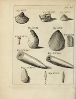 An illustration from Miscellanea Curiosa, sive Ephemiridum Medico-Physicarum Germanicarum Academiae Naturae Curiosorum (1700)